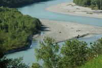 Alpenrhein Mastrils Aue © Lukas Indermaur