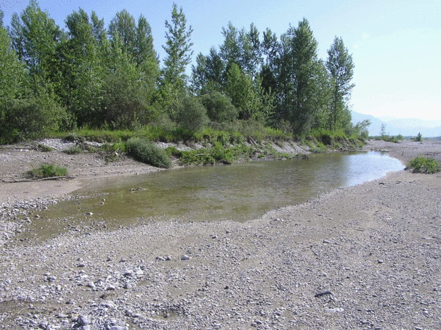 Tümpel am Tagliamento © Lukas Indermaur