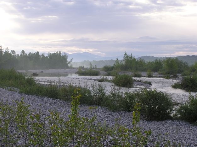 Tagliamento Flussbett © Lukas Indermaur Tagliamento Flussbett © Lukas Indermaur