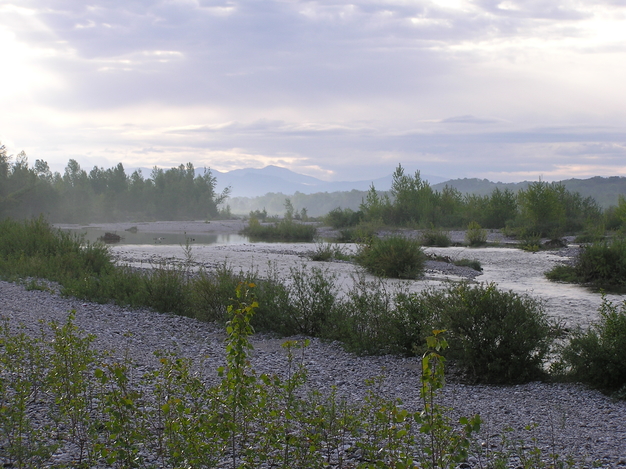 Tagliamento Flussbett © Lukas Indermaur