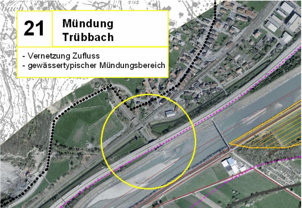Mündung Trübbach