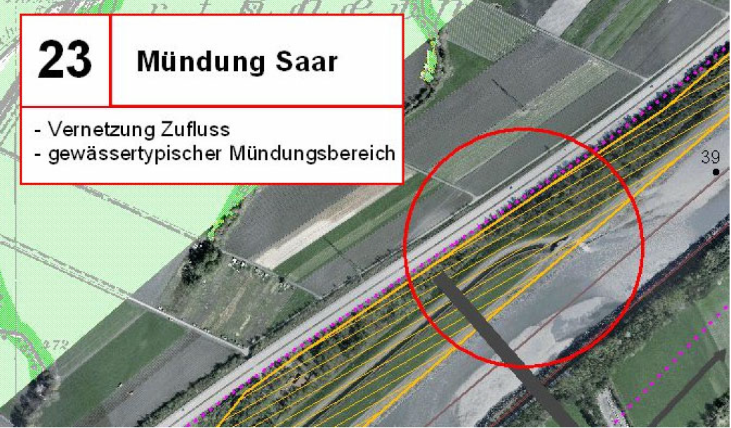 Mündung Saar